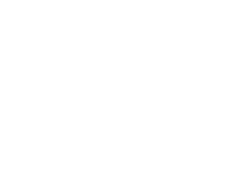 Veroni Swim